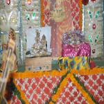 Vraj-Yatra-2014- (566)